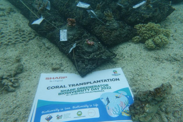 Aksi Sharp Kurangi Emisi Karbon Bersama Kaum Muda