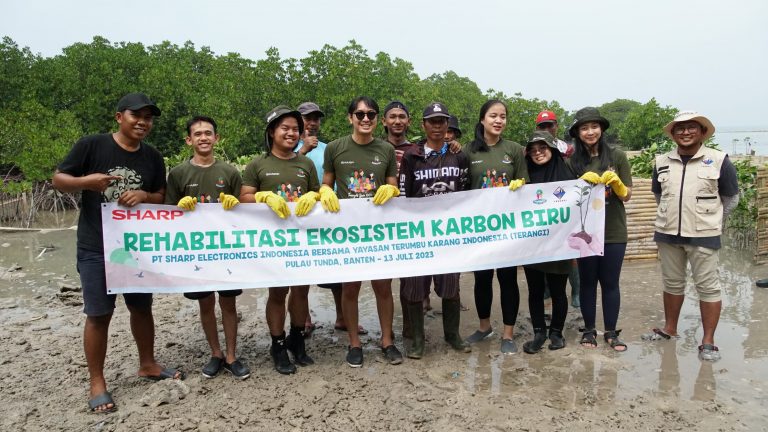 Sharp Tanam Mangrove Rehab Ekosistem Karbon Biru untuk Eco Vision 2050