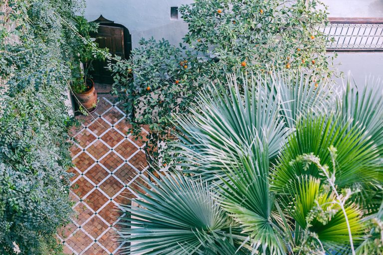 Inspirasi 3 Gaya Taman Lahan Minim, Desain & Jenis Tanamannya