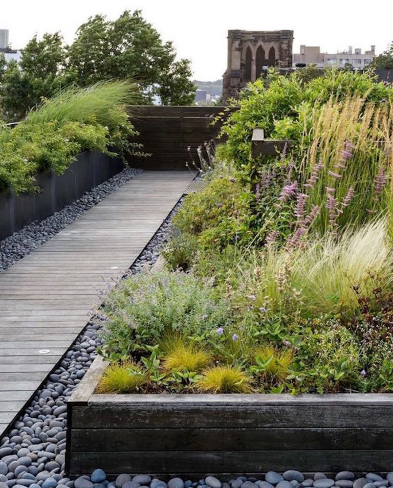 Manfaat Taman Atap untuk Rumah di Daerah Tropis