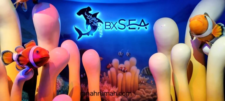 Bintaro Jaya BXSEA Oceanarium Telah Beroperasi Segini Harga Tiketnya