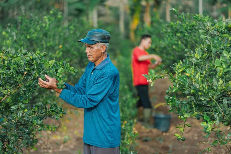 I-SEA Gelar Program Pendampingan untuk 10 Wirausaha Sosial