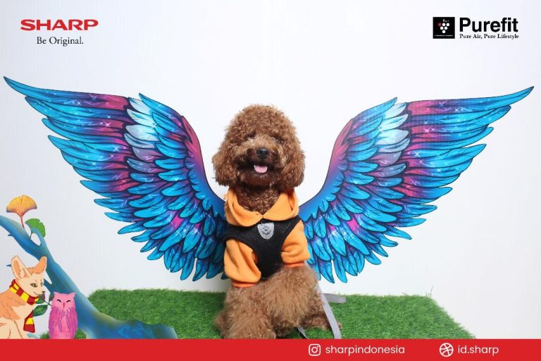 Penjernih Udara Sharp Tersedia di IIPE 2024, Solusi Rumah Bebas Jamur dan Bulu Hewan Peliharaan