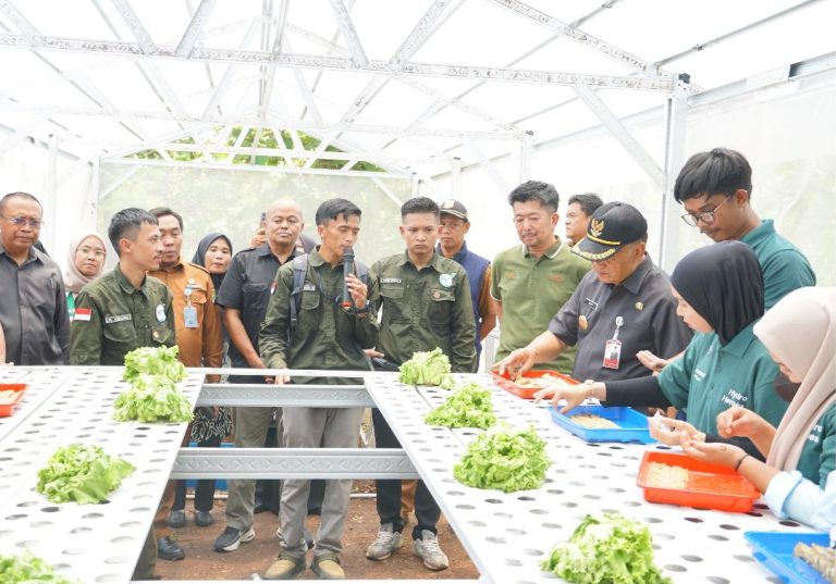 Program Sharp Hydro Heroes Siapkan Pemuda jadi Petani Milenial untuk Pertanian Modern
