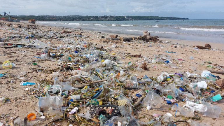 Partisipasi Nestle Indonesia dalam “Aksi Bersih Sampah Laut” Atasi Polusi Laut di Bali