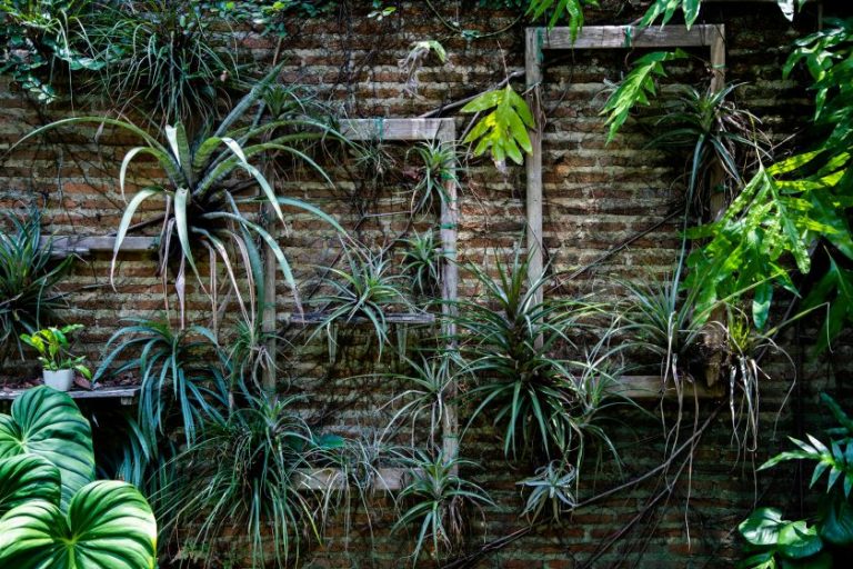 Pesona Taman Vertikal: untuk Estetika & Peredam Panas yang Handal